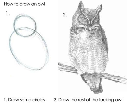 draw the rest of the fucking owl